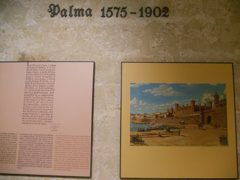 DSCN6563.jpg