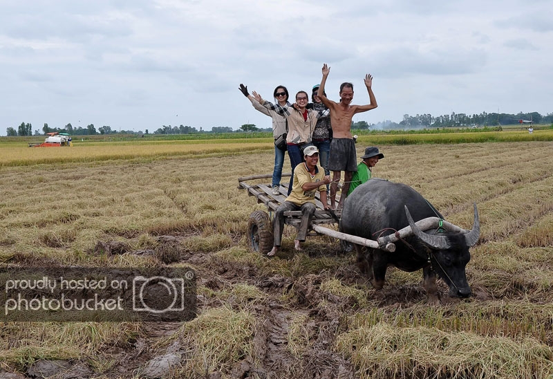 DSC_6787_zpsa5384040.jpg