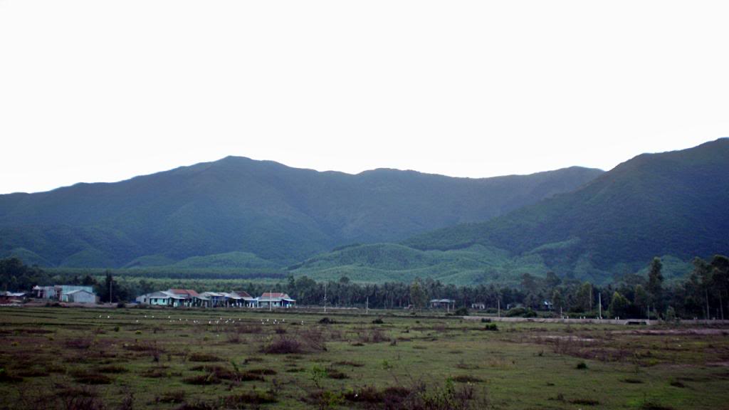 305.jpg