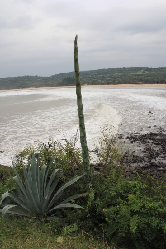 DuaRung-1.jpg