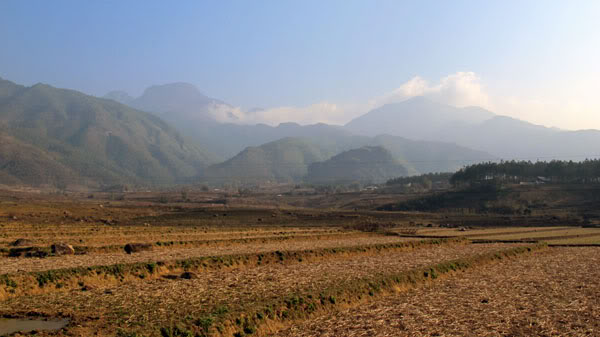 HongNgai2011081.jpg