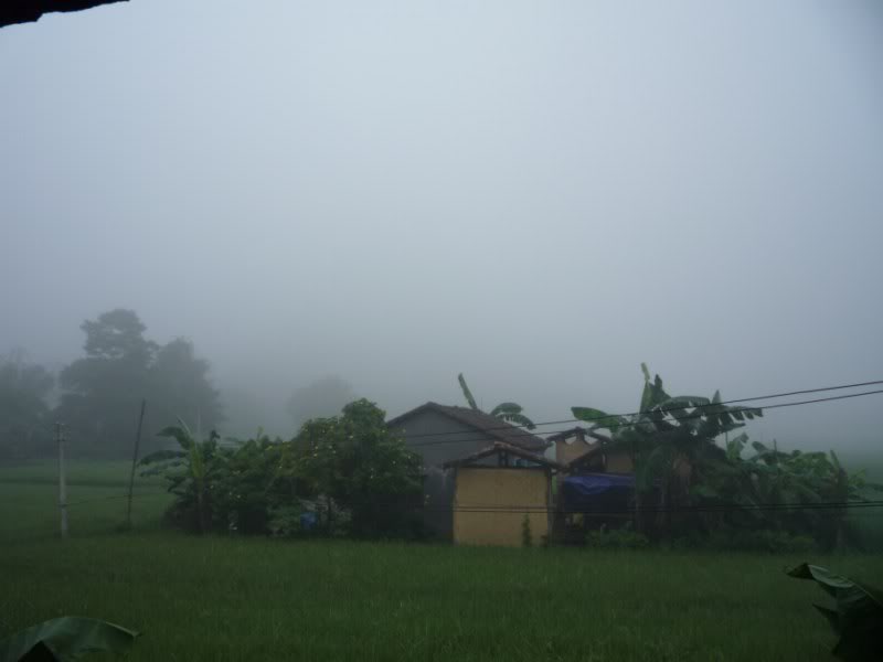 P1010788800x600.jpg