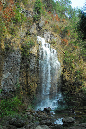3172970051_3132f90eab.jpg