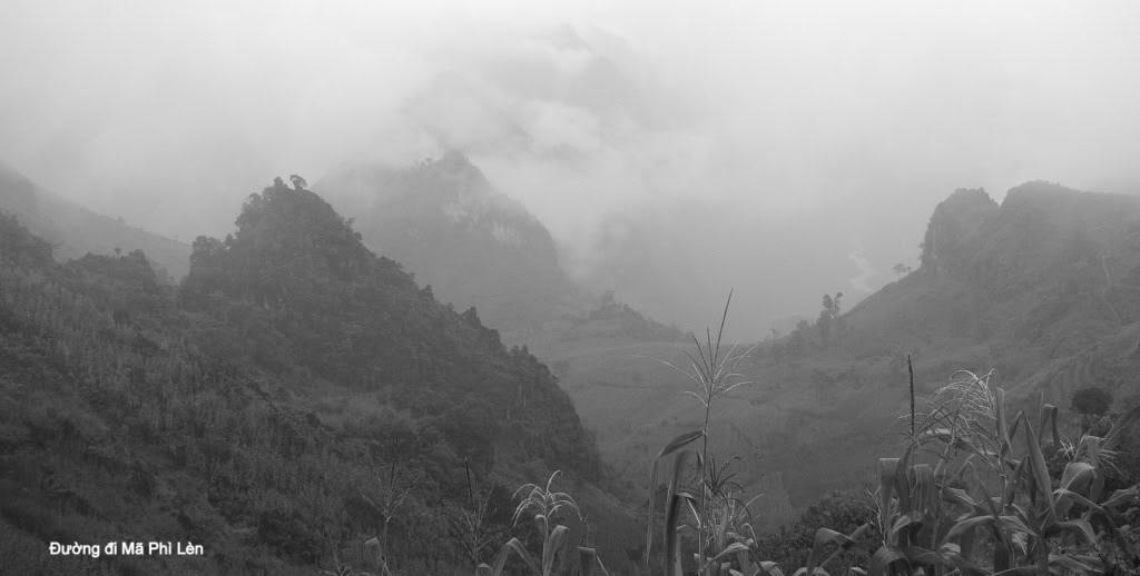 ngiMPhLn-0011024x768.jpg