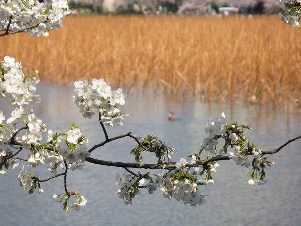 IMG_2503_resize.jpg