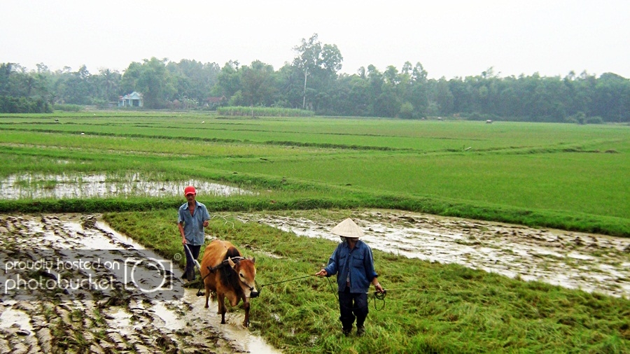 dongduong1.jpg