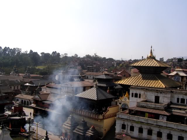 PB050104.jpg