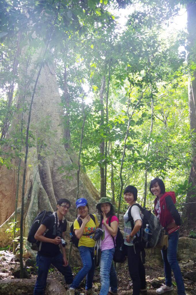 IMGP1618_zpsec21294c.jpg