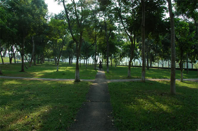 DSC_1895.jpg