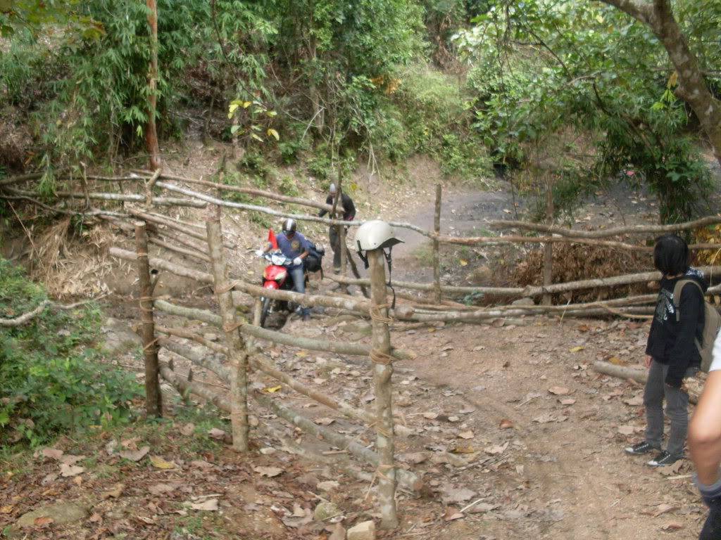 SDC10557.jpg
