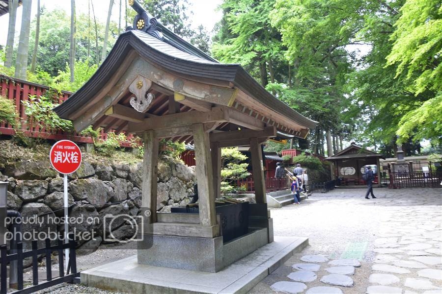resized__SAM8295_zpsa4bekdqv.jpg