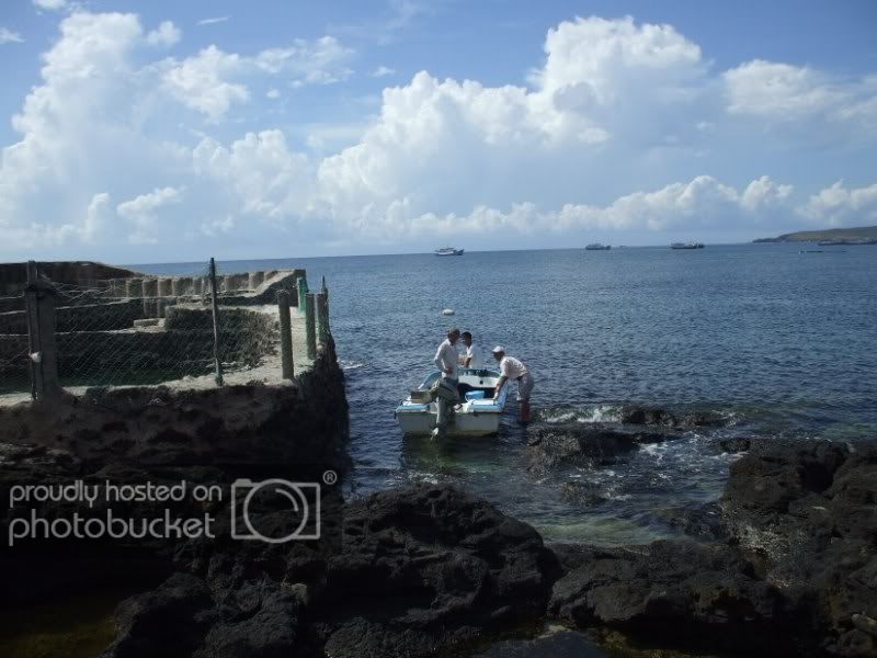 DSCF7539.jpg