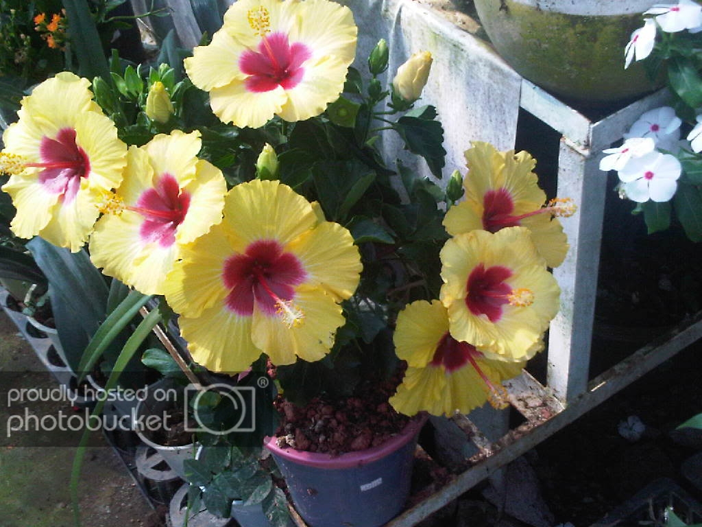 IMG-20111122-00160.jpg