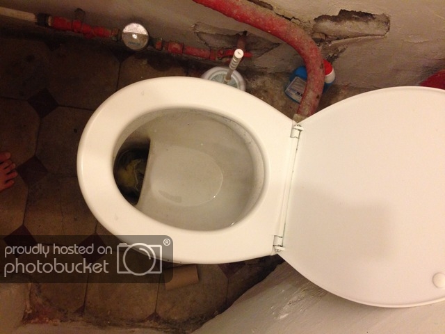image_36.jpeg