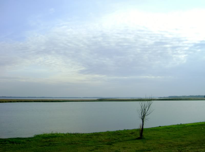 DSC06608.jpg
