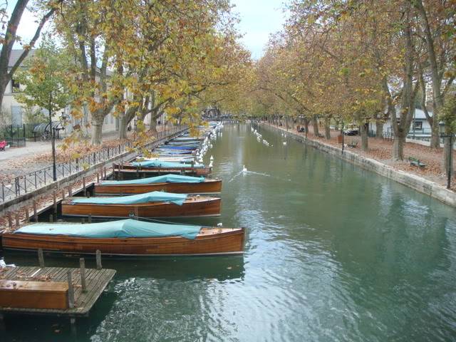 DSC04576.jpg