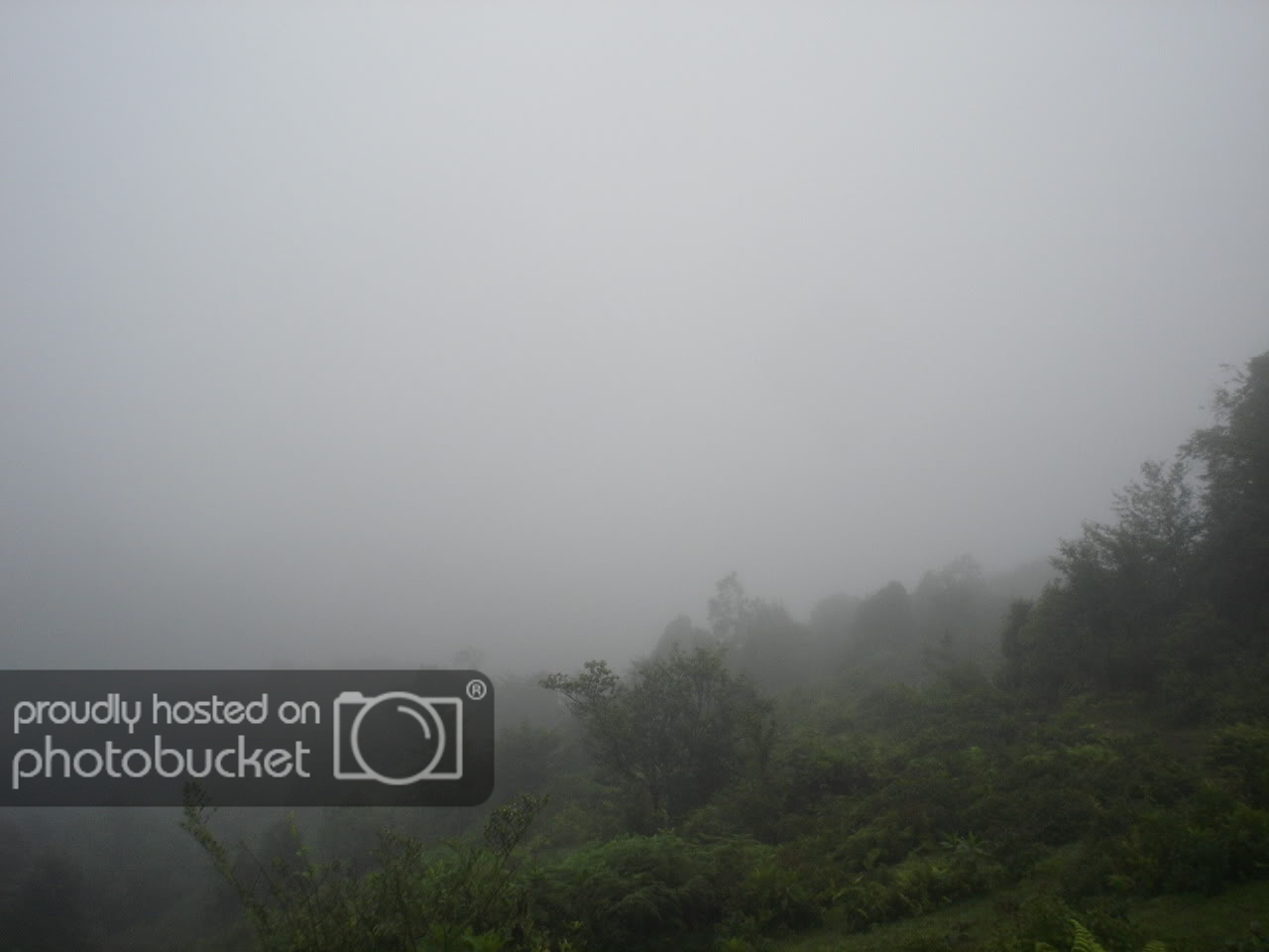 DSC05399-1.jpg