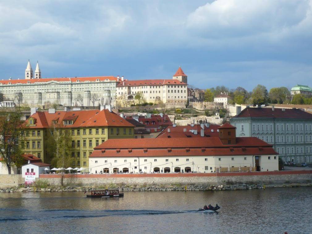 P1010152-1.jpg