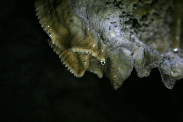 5384925118_7bcca8a816_z.jpg