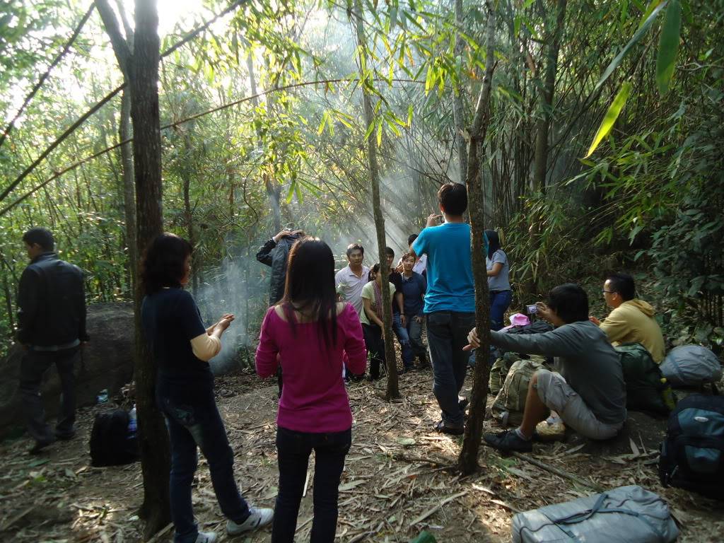 DSC02246.jpg