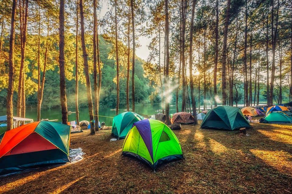 Cắm trại trong rừng có nhiều ưu điệm thú vị