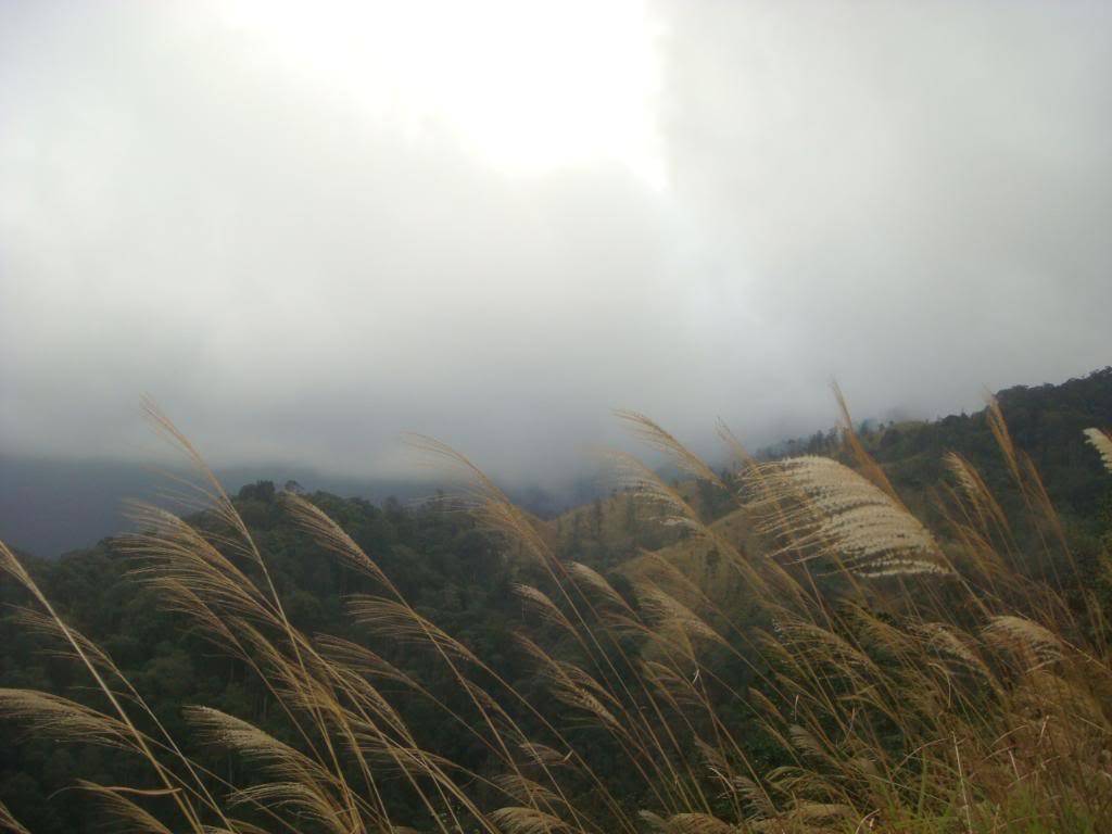 DSC05992.jpg