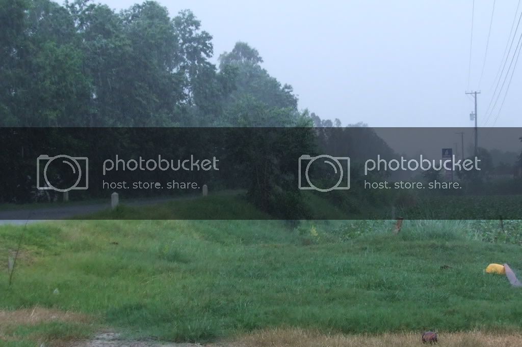 DSCF3674.jpg