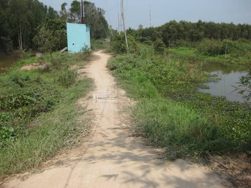DongThapTET2011363.jpg