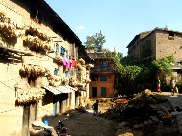 PB030714.jpg