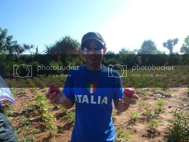 P1040681_resize.jpg