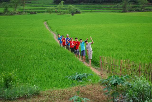 ruonglua_zps2aa8ed06.jpg
