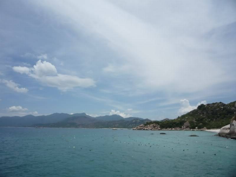 P1010538800x600.jpg