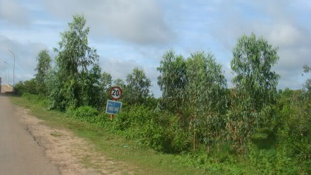 DSC05415.jpg