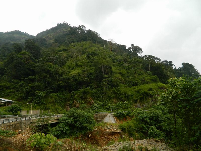 DSCN2995.jpg