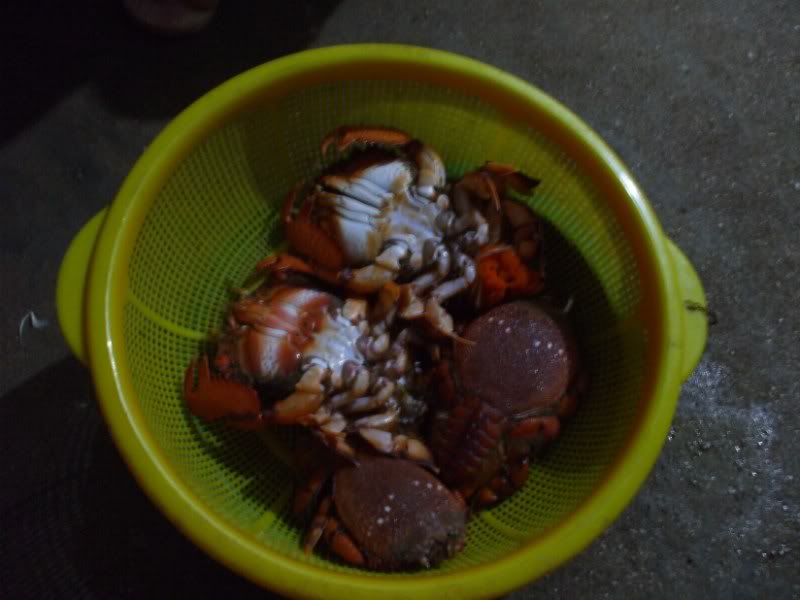 DSCF6889.jpg