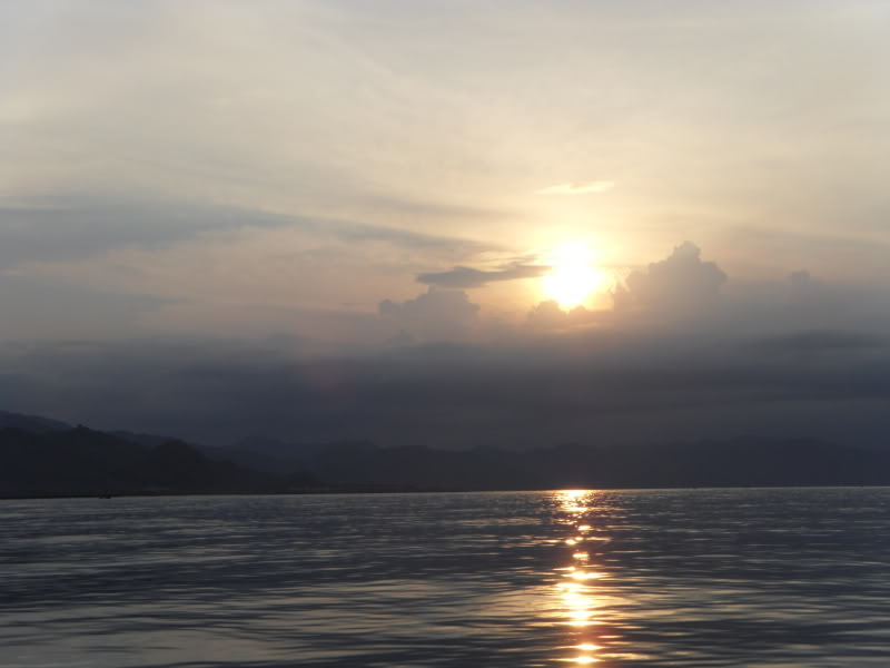 SDC13813.jpg