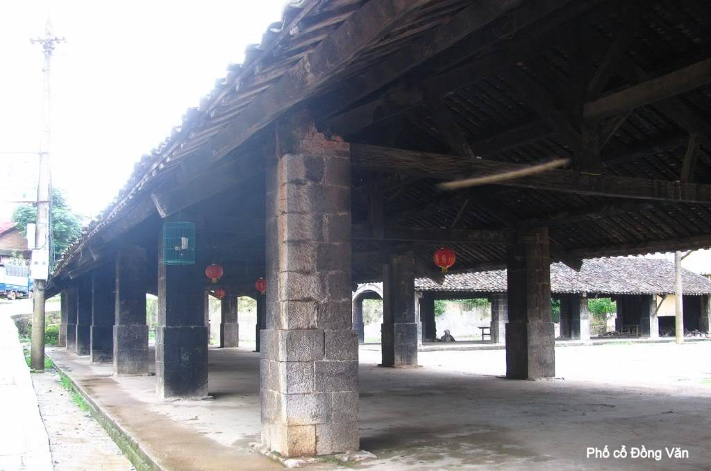 PhcngVn-0031024x768.jpg