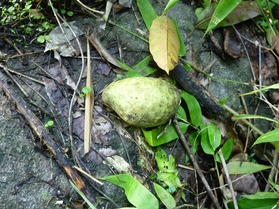 P1070274_zps9d67b434.jpg
