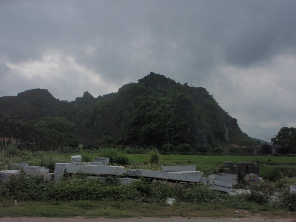 P1012498.jpg