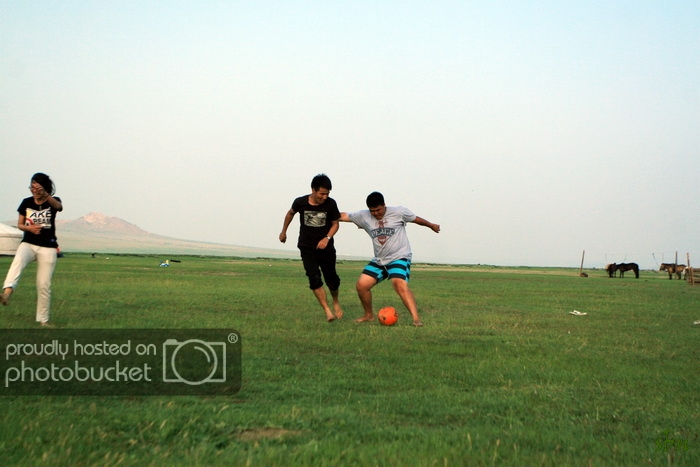 IMG_7894_zps29f7b978.jpg