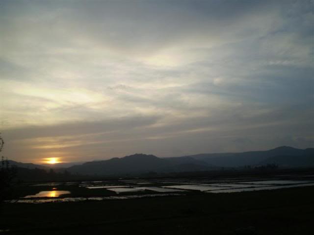 P1010234Medium.jpg