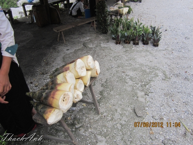 IMG_8607.jpg