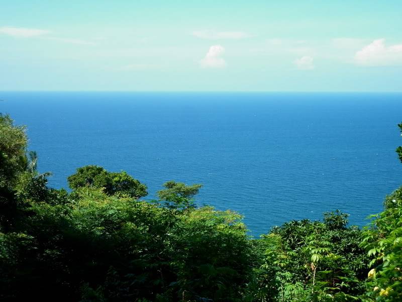 P1000891.jpg