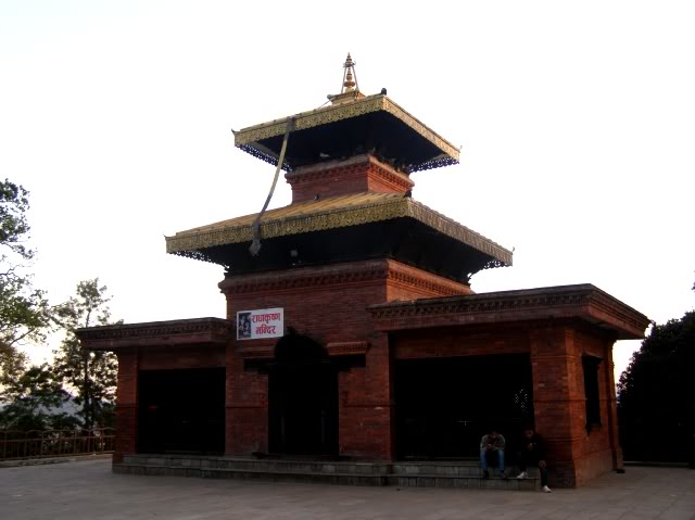 PB110132.jpg