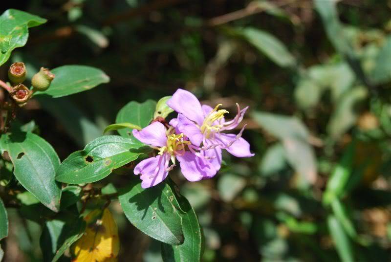 DSC_6001.jpg
