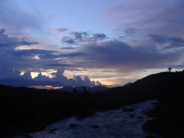 DSC03485_resize.JPG