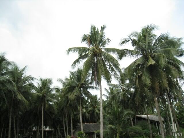 IMG_3559.jpg