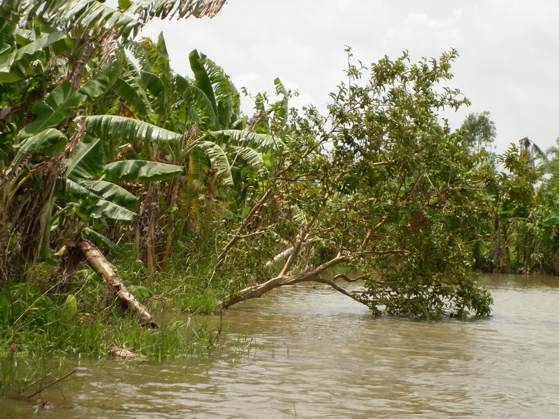 P1000340.jpg