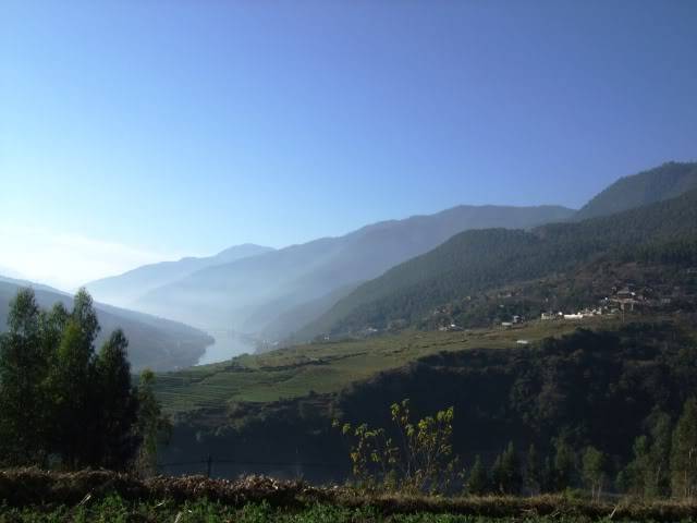 DSCF2342.jpg