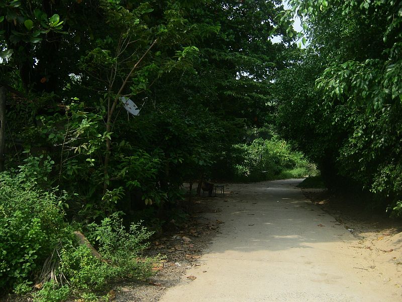 IMG_8645.jpg